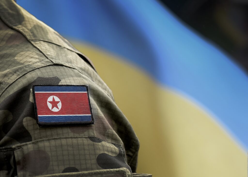 North Korean soldiers captured